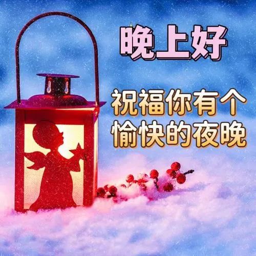 晚上好,晚安