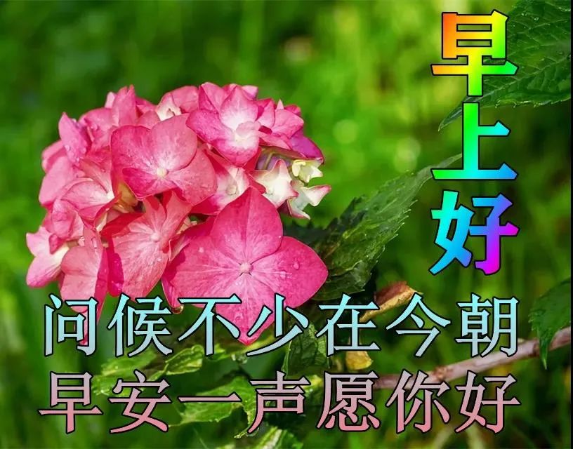 早安,早上好,上午好