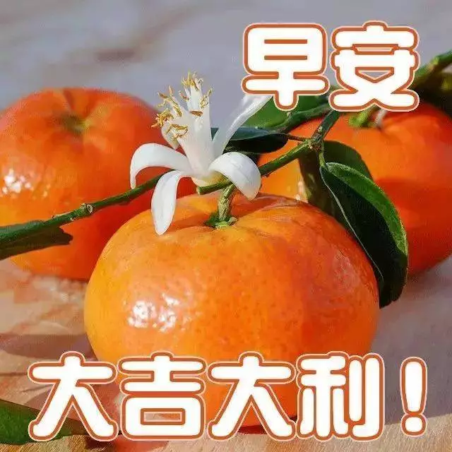 早安,早上好,上午好
