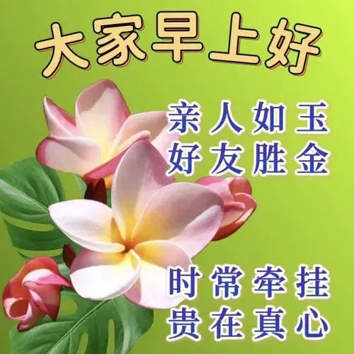 早安,早上好,上午好