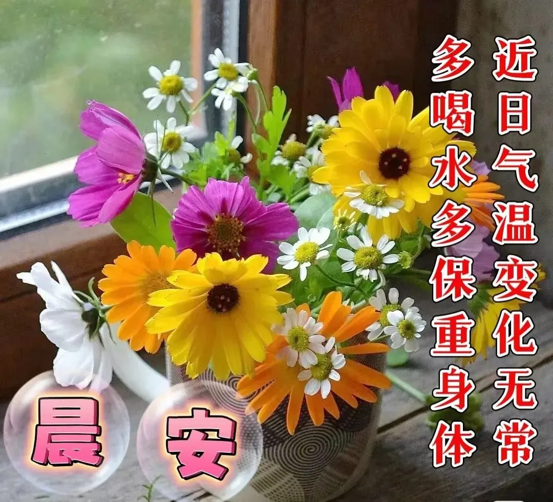 早安,早上好,上午好