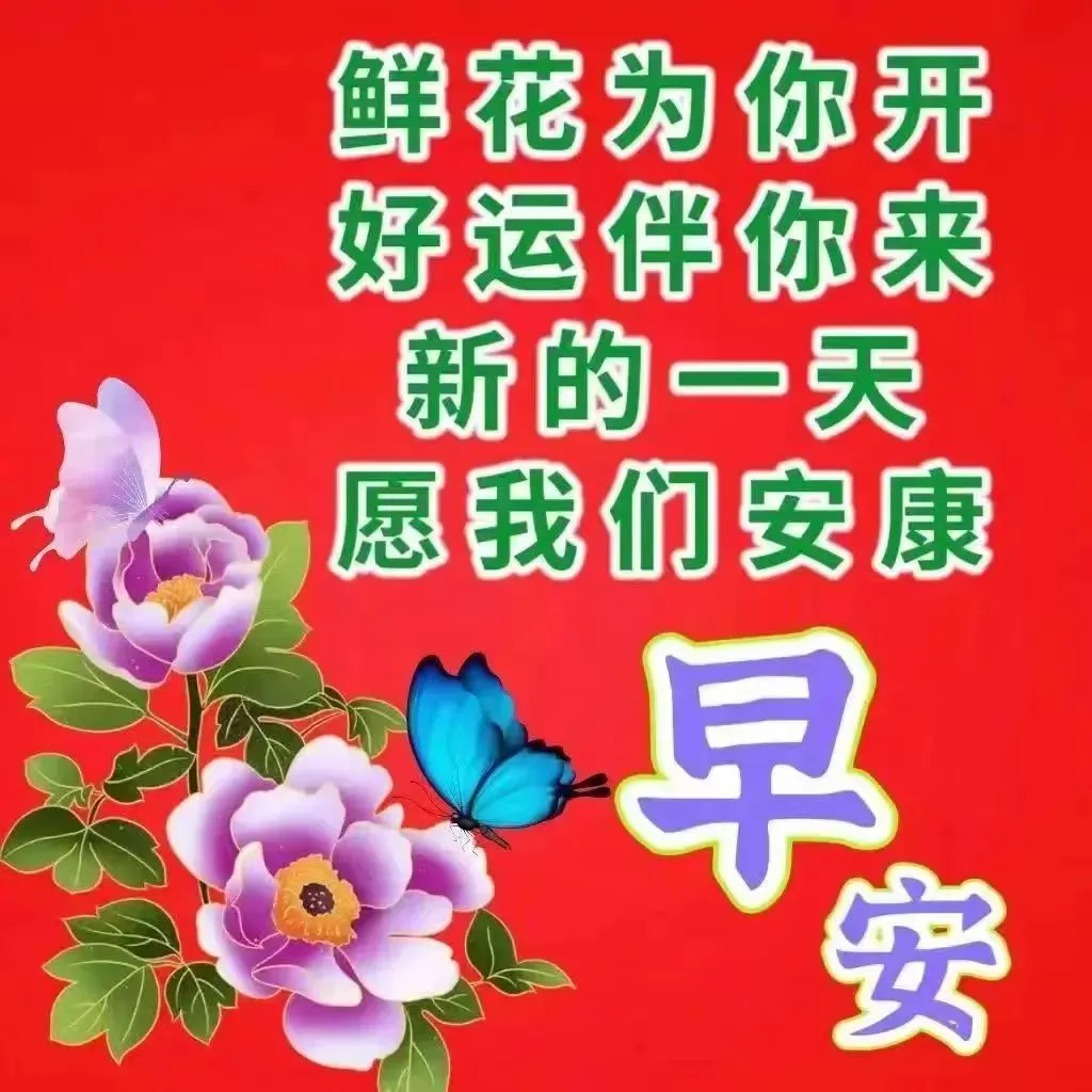 早安,早上好,上午好