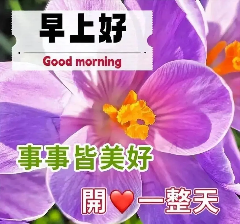 早安,早上好,上午好