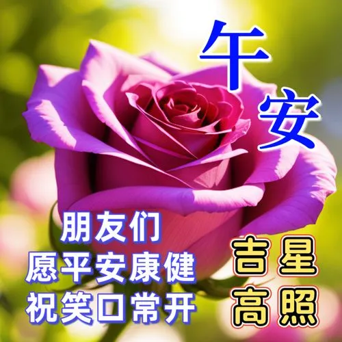 中午好,午安