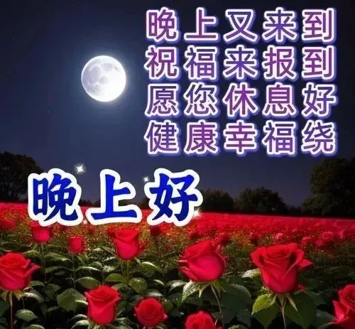 晚上好,晚安
