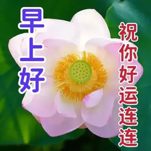 早安,早上好,上午好