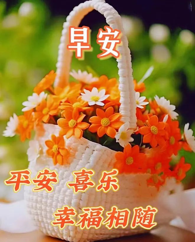 早安,早上好,上午好