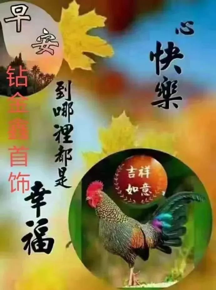 早安,早上好,上午好