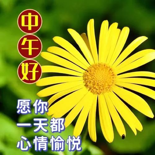 中午好,午安