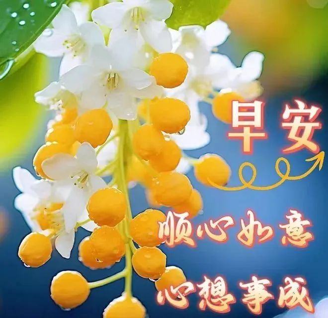 早安,早上好