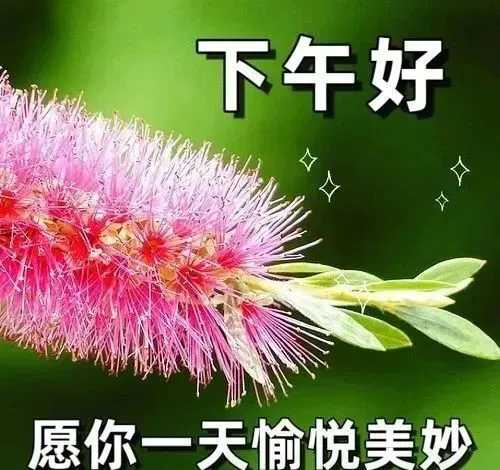 下午好