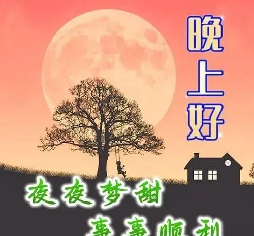 晚上好,晚安