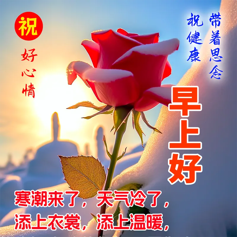 早安,早上好,上午好