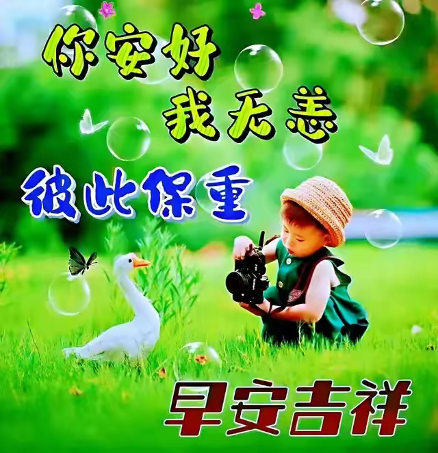 早安,早上好,上午好