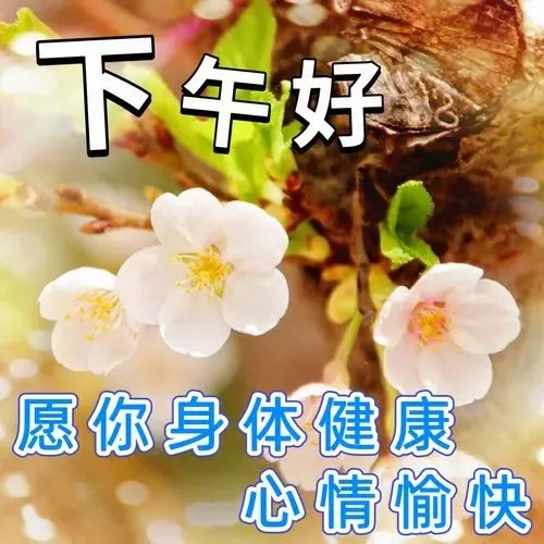 下午好
