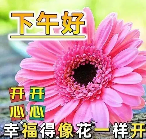 下午好