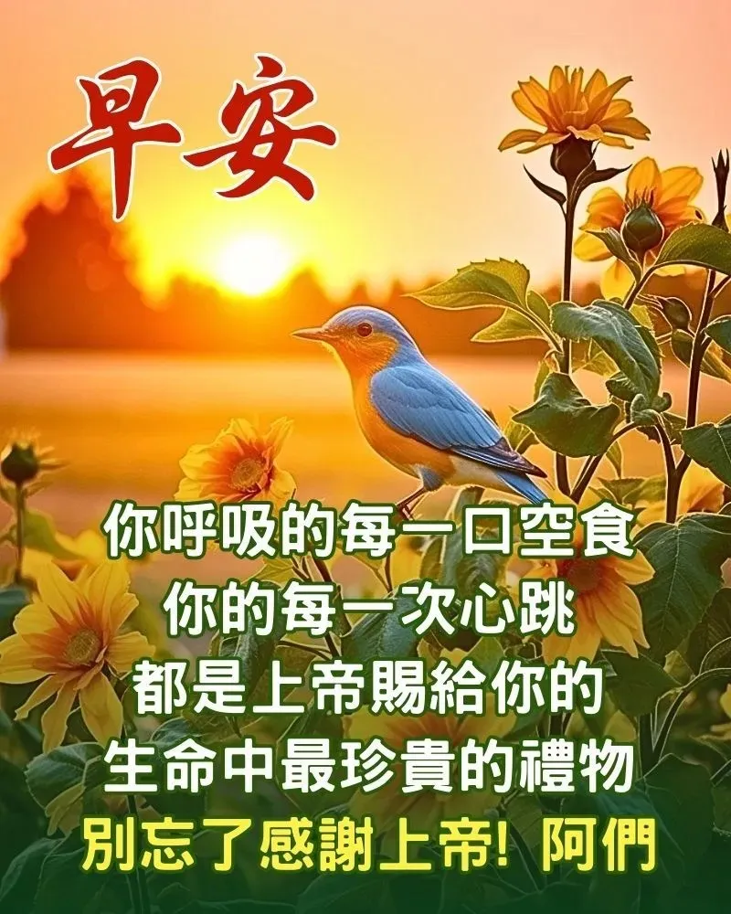 早安,早上好,上午好