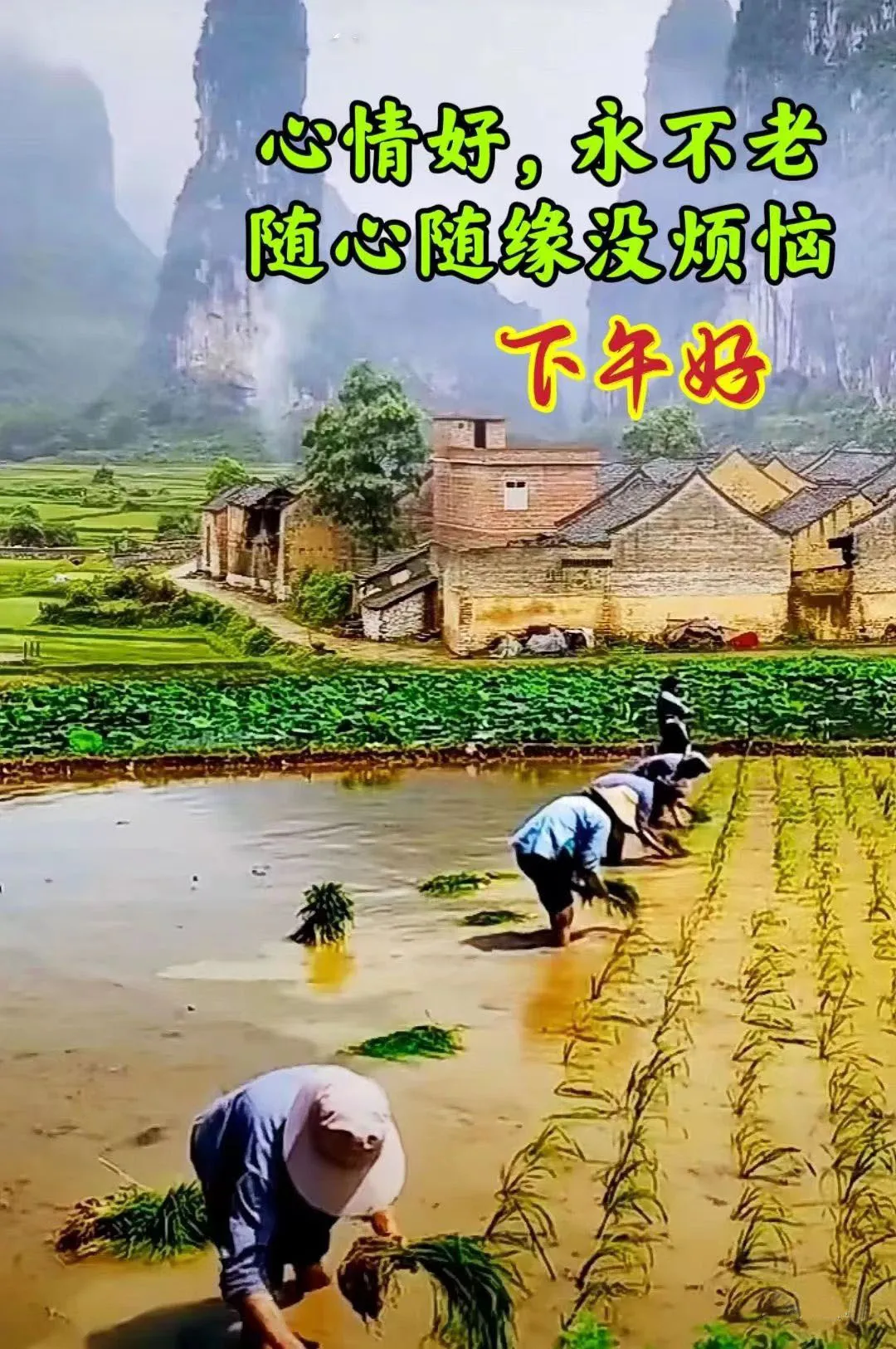 下午好