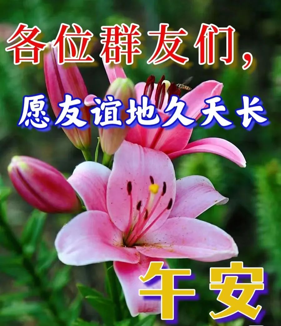中午好,午安