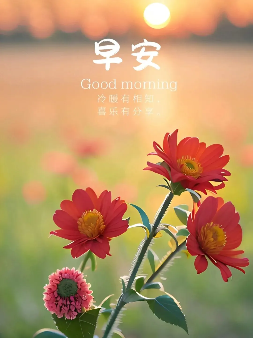 早安,早上好,上午好
