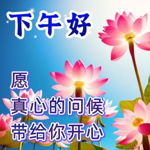 下午好