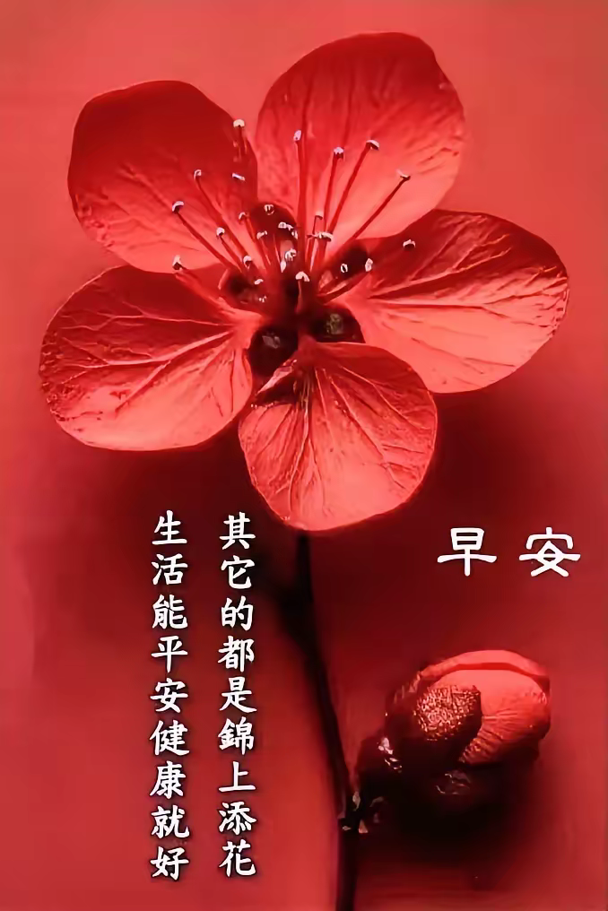 早安,早上好,上午好