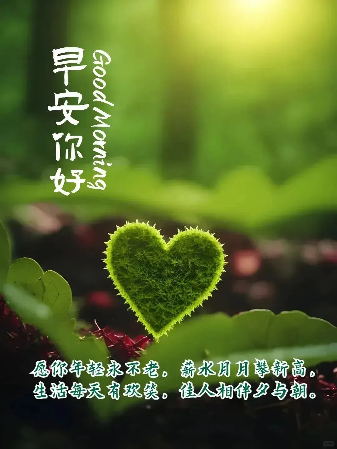 早安,早上好,上午好