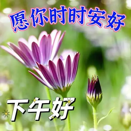 下午好