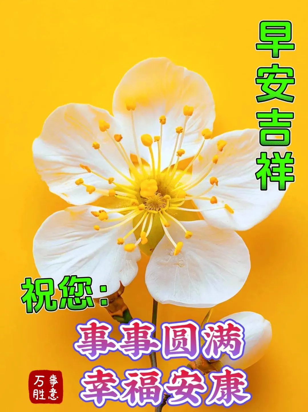 早安,早上好,上午好