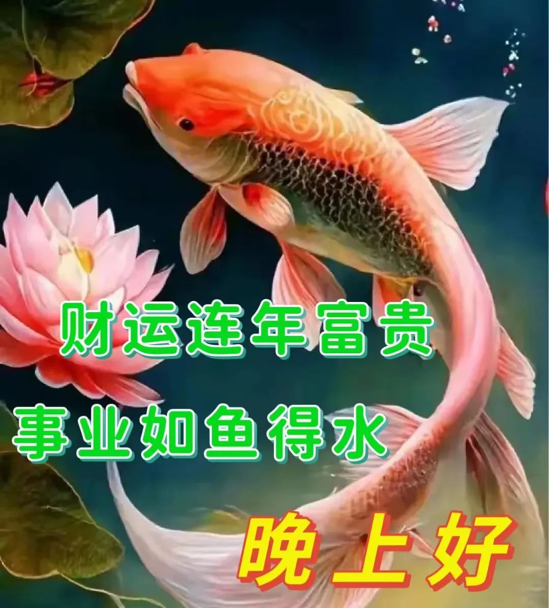 晚上好,晚安