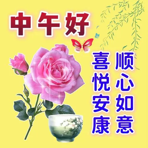中午好,午安