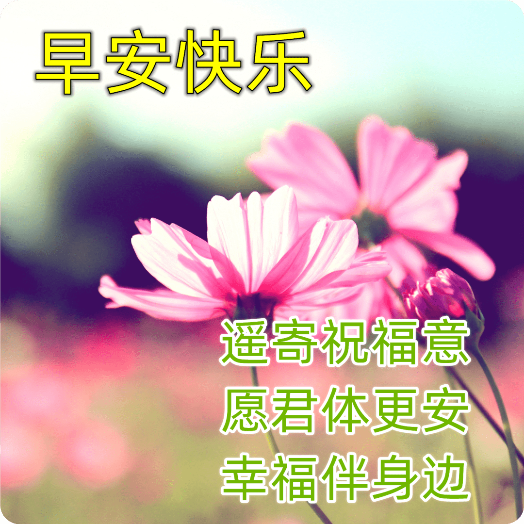 早安,早上好
