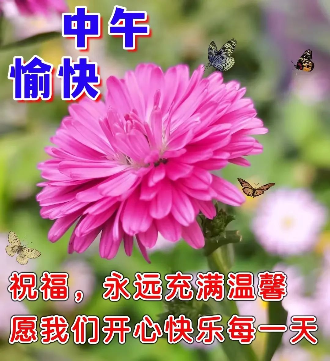 中午好,午安