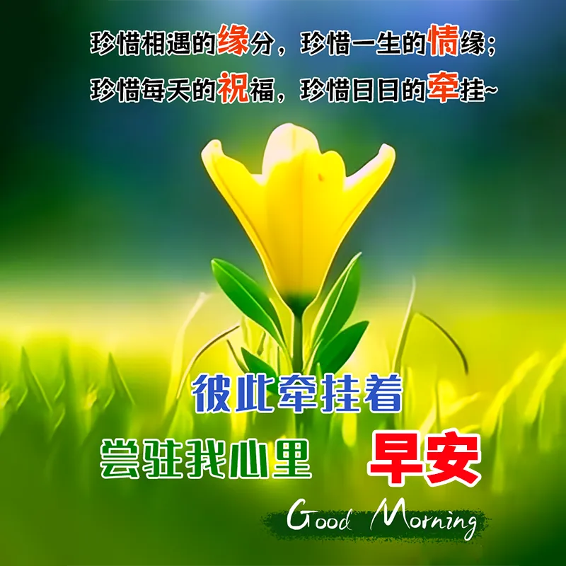 早安,早上好,上午好