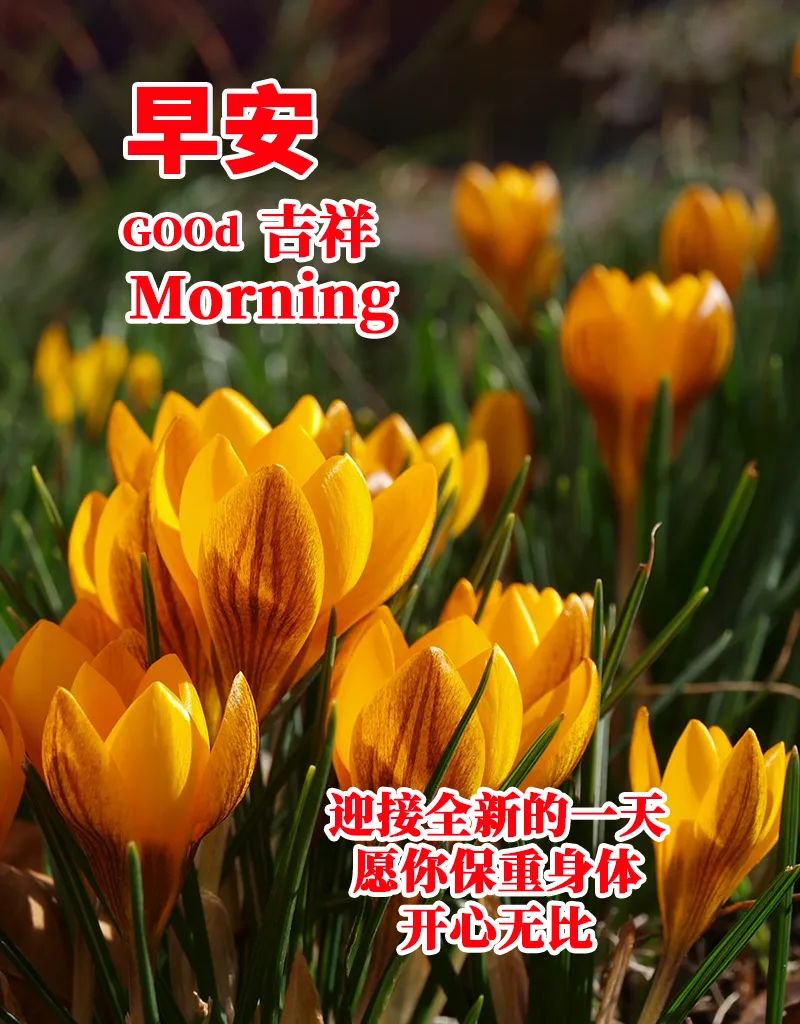 早安,早上好,上午好