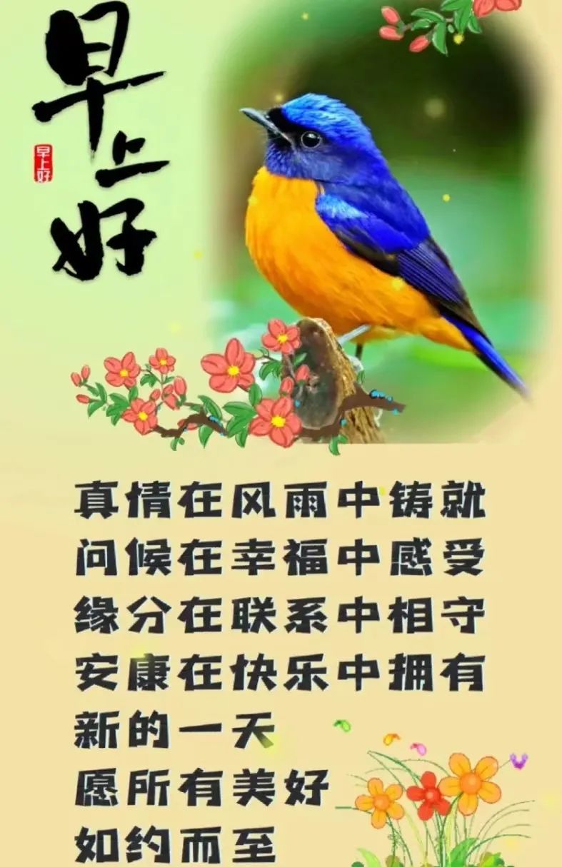 早安,早上好,上午好