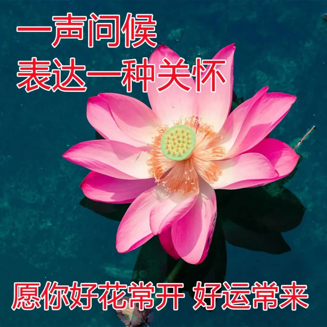 早安,早上好,上午好