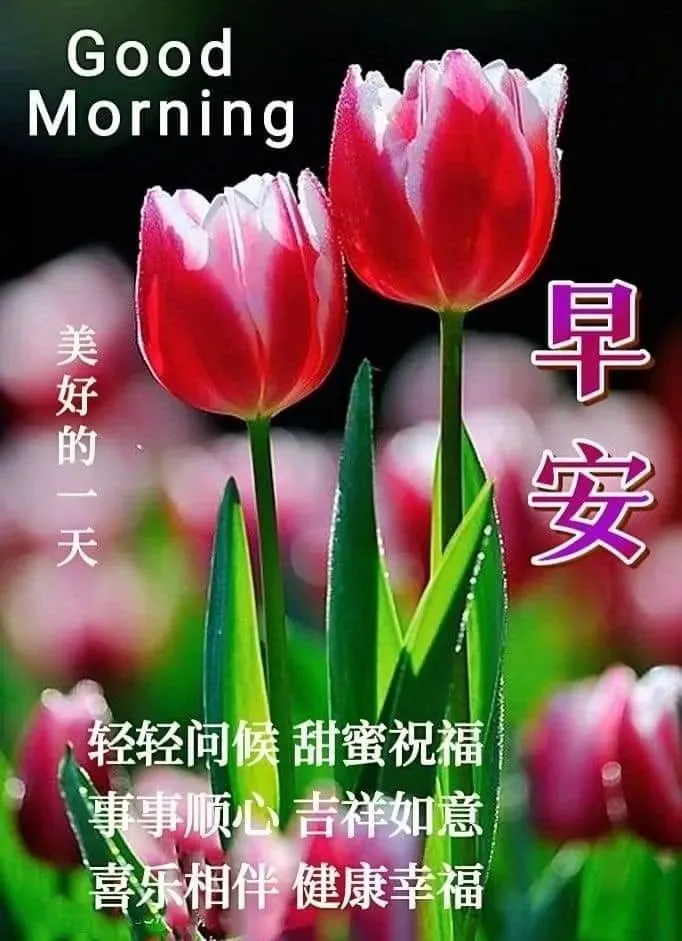早安,早上好,上午好