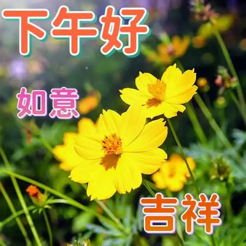 下午好