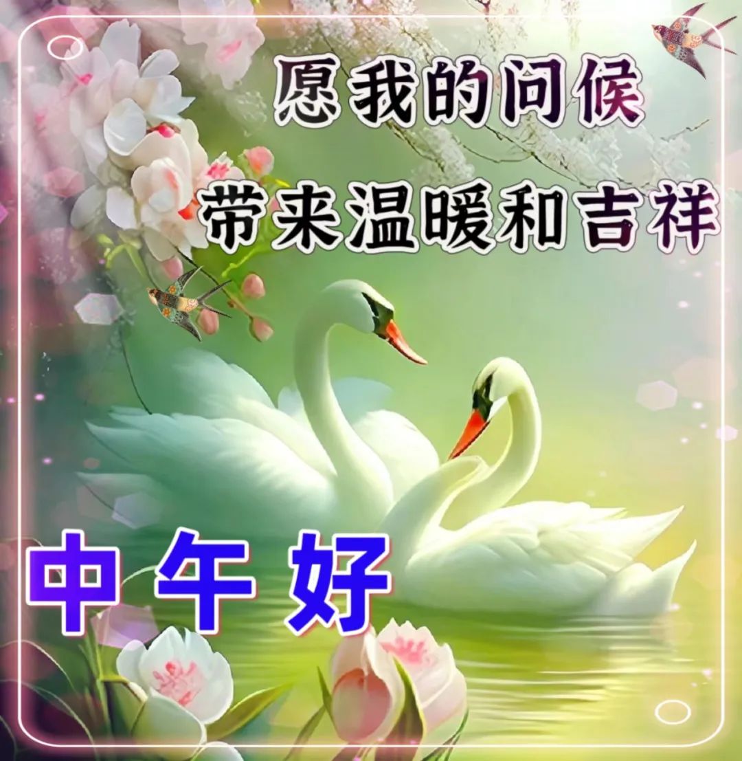 中午好,午安