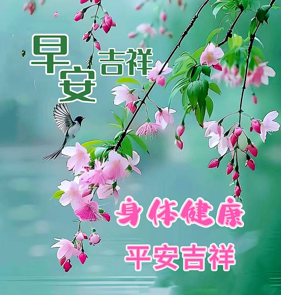 早安,早上好,上午好