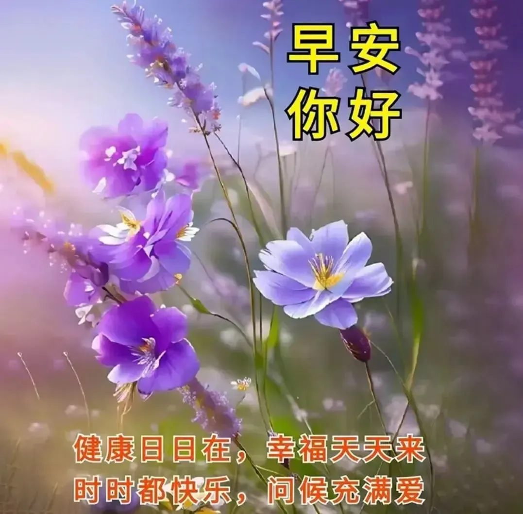 早安,早上好,上午好