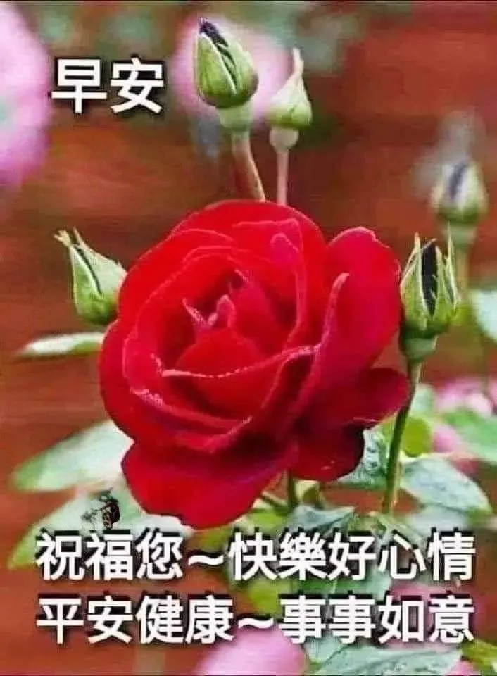 早安,早上好,上午好