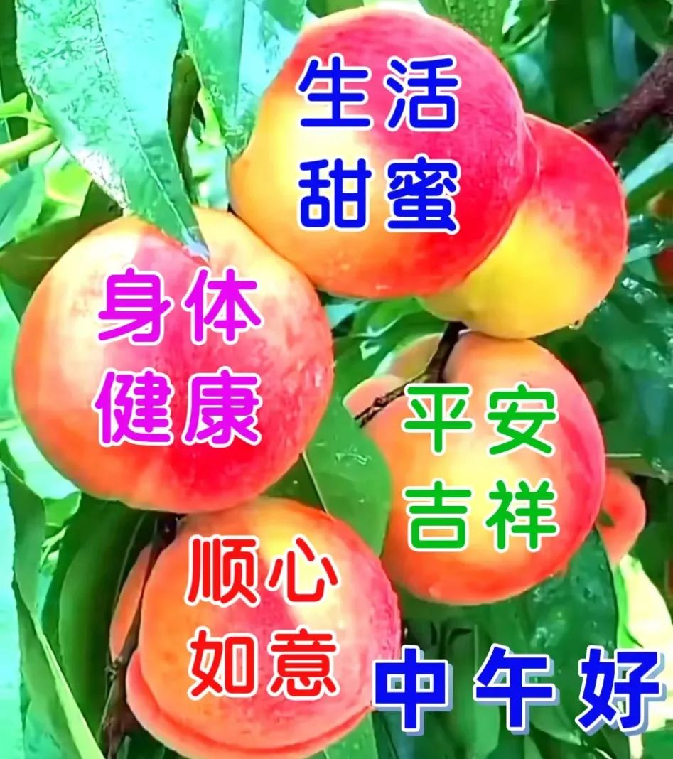 中午好,午安