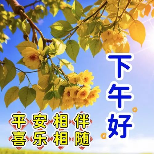 下午好