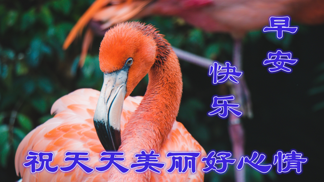 早安,早上好,上午好