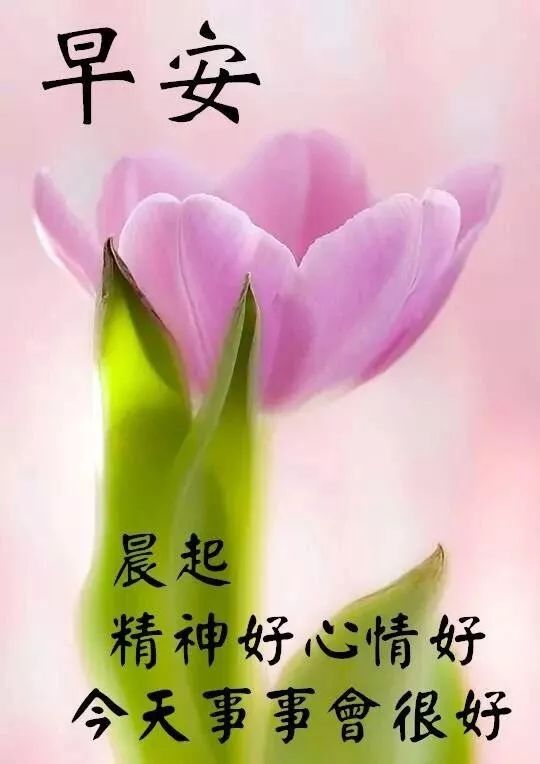 早安,早上好,上午好