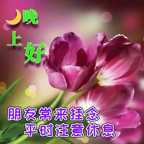 晚上好,晚安