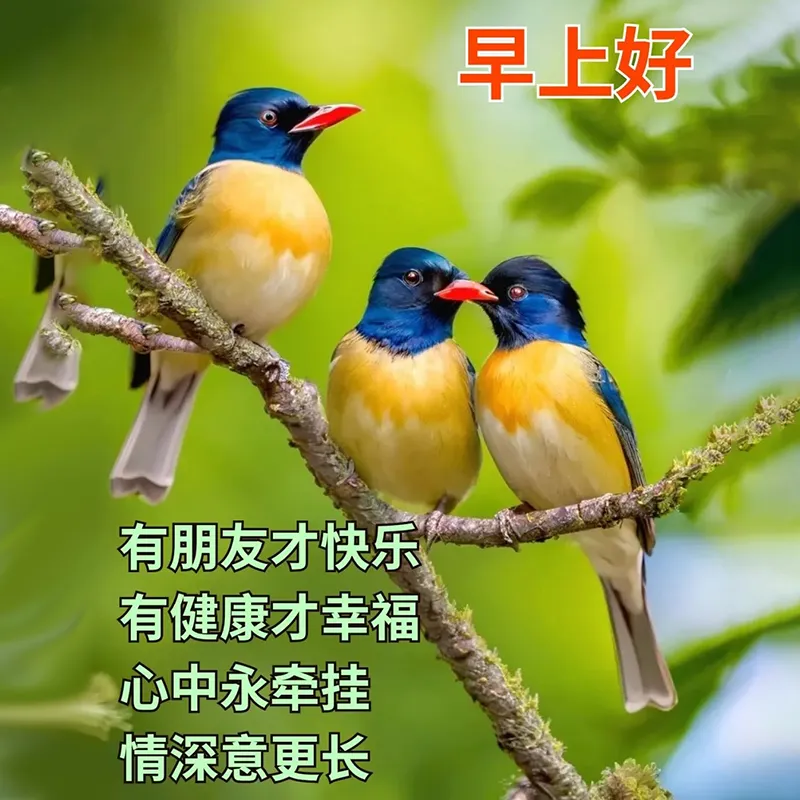 早安,早上好,上午好