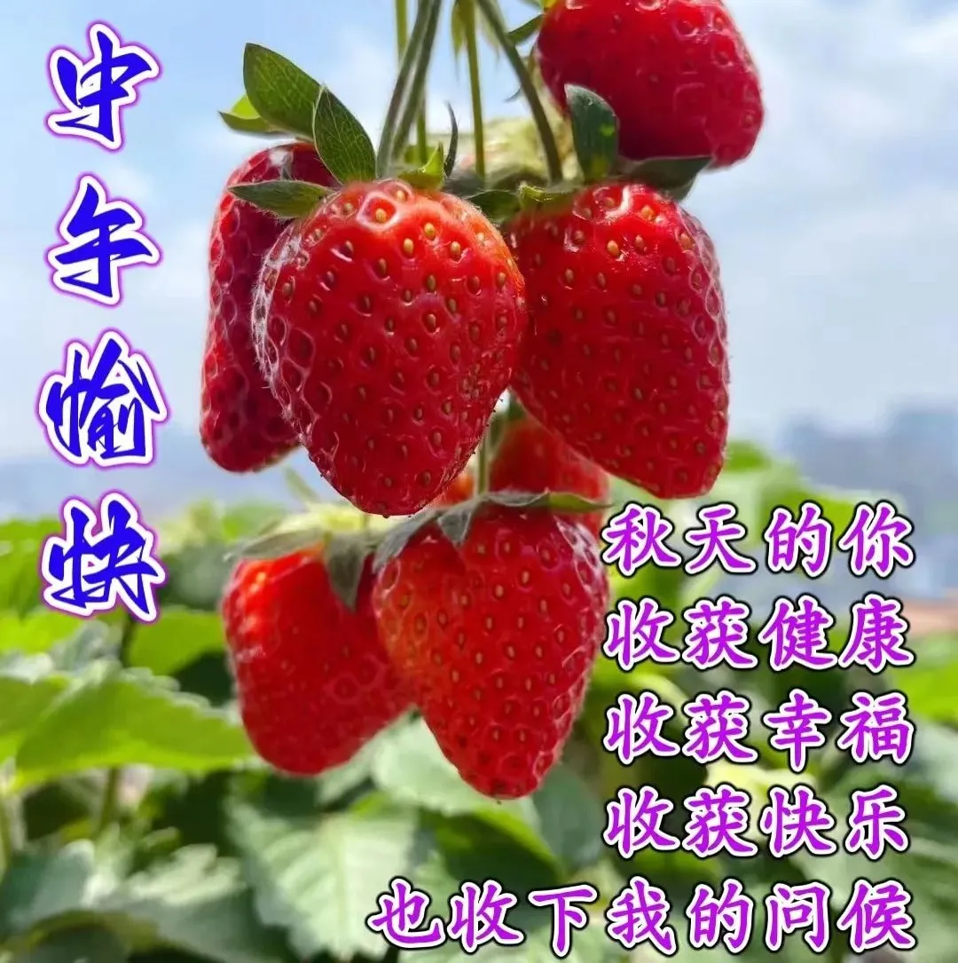 午安,中午好
